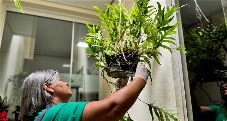 Série de ações de combate à proliferação das arboviroses.